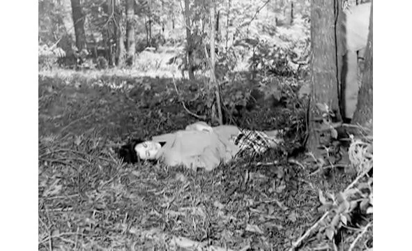 Иллюстрация к книге — Сыны Сэма. Убийцы влюбленных парочек [book-illustration-131.webp]