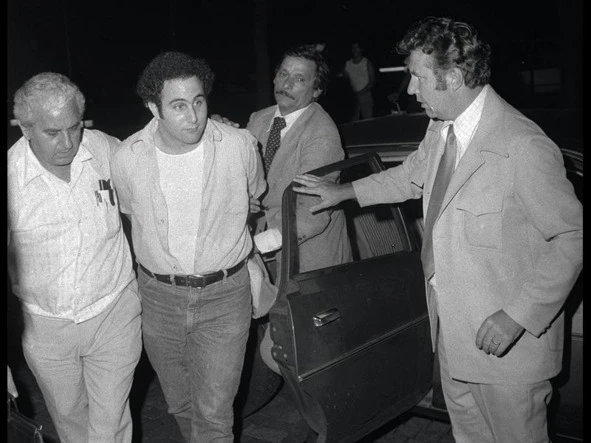 Иллюстрация к книге — Сыны Сэма. Убийцы влюбленных парочек [book-illustration-34.webp]