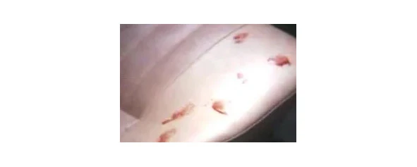 Иллюстрация к книге — Криминальные очерки. Книга 4 [book-illustration-26.webp]