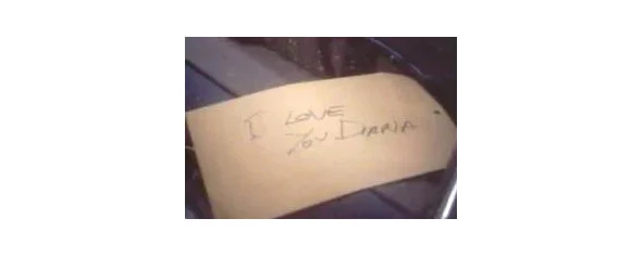 Иллюстрация к книге — Криминальные очерки. Книга 4 [book-illustration-27.webp]