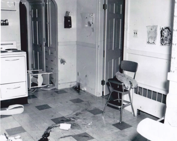 Иллюстрация к книге — Криминальные очерки [book-illustration-12.webp]