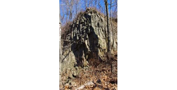 Иллюстрация к книге — Криминальные очерки [book-illustration-85.webp]