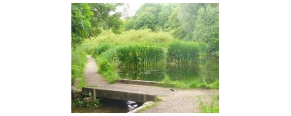 Иллюстрация к книге — Криминальные очерки. Книга II [book-illustration-36.webp]