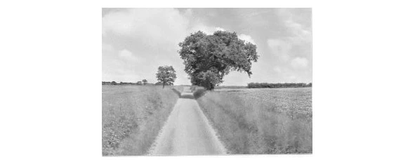 Иллюстрация к книге — Криминальные очерки. Книга III [book-illustration-46.webp]