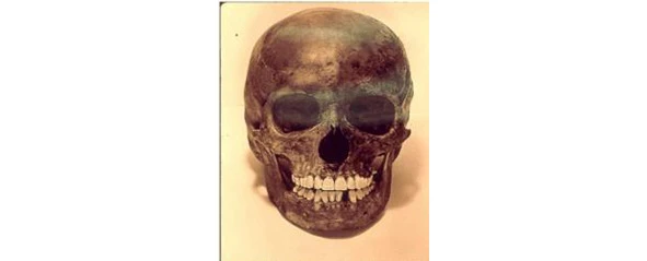 Иллюстрация к книге — Криминальные очерки. Книга III [book-illustration-85.webp]