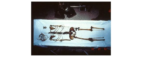 Иллюстрация к книге — Криминальные очерки. Книга III [book-illustration-91.webp]