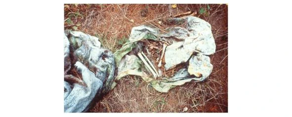 Иллюстрация к книге — Криминальные очерки. Книга III [book-illustration-92.webp]