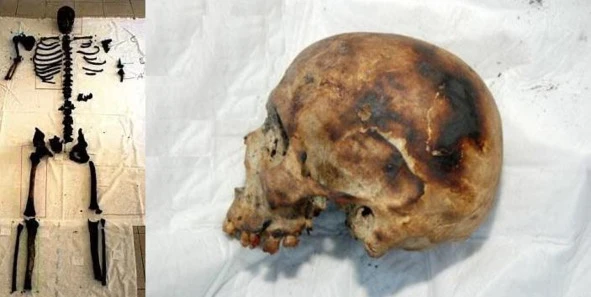 Иллюстрация к книге — Криминальные очерки. Книга 5 [book-illustration-3.webp]