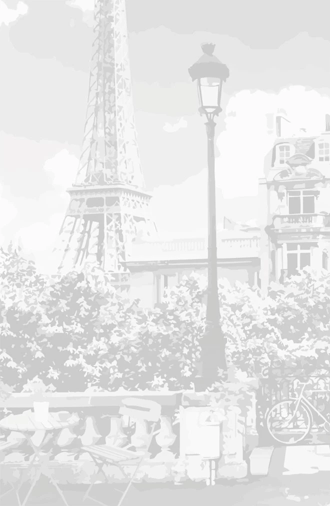 Иллюстрация к книге — Парижский роман [i_001.webp]