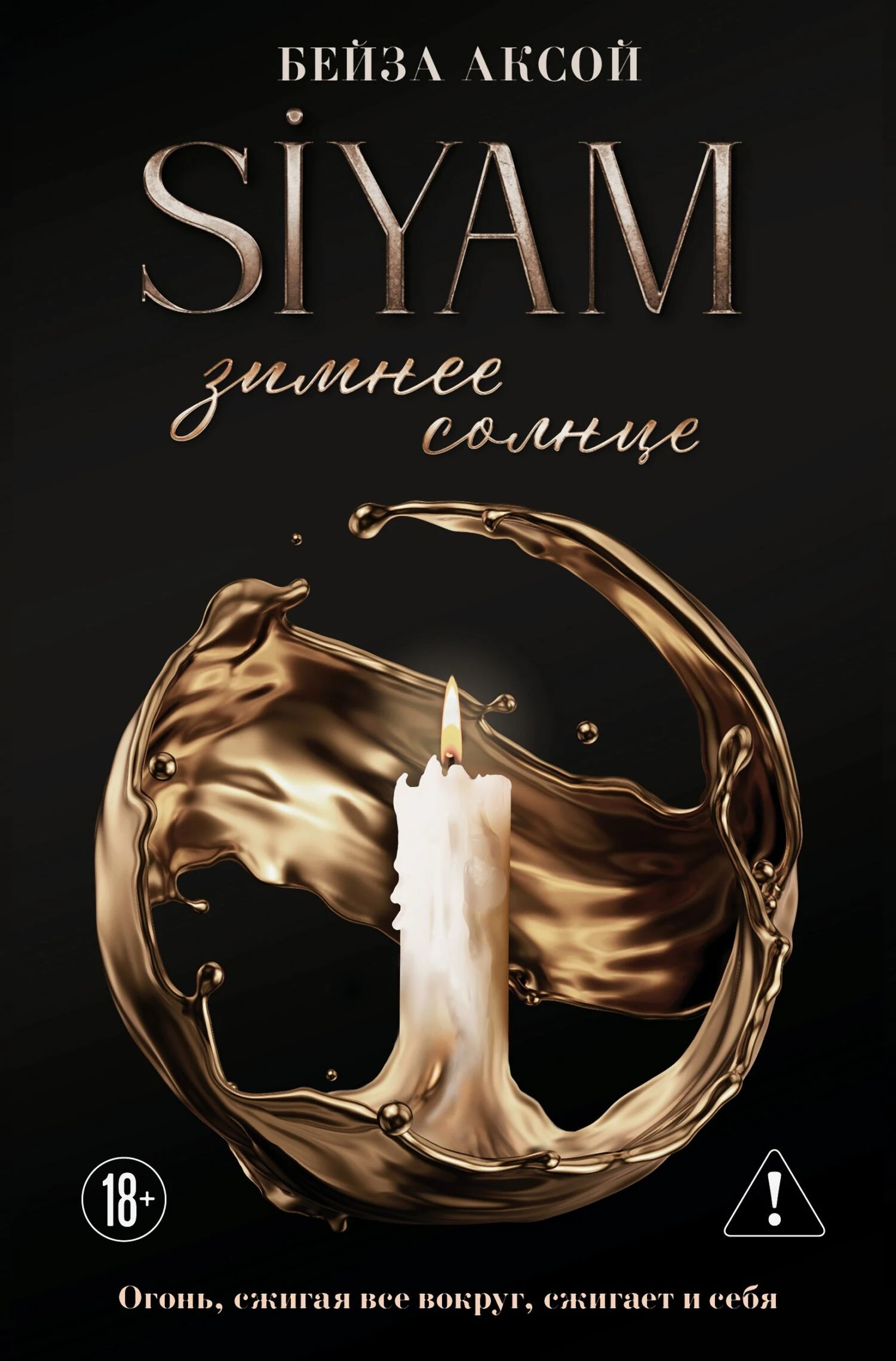 Книга Зимнее солнце