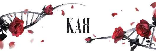 Иллюстрация к книге — Последователи [book-illustration-6.webp]