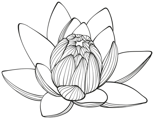 Иллюстрация к книге — Все начнется с нас [book-illustration-2.webp]