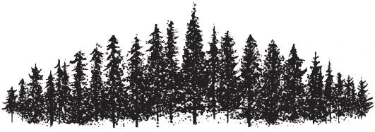 Иллюстрация к книге — Никогда, никогда [book-illustration-2.webp]