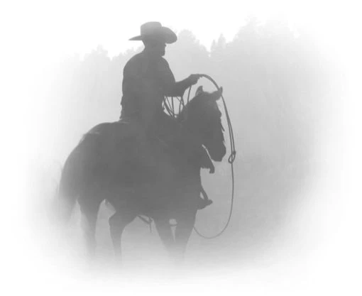 Иллюстрация к книге — Когда оживает сердце [book-illustration-2.webp]