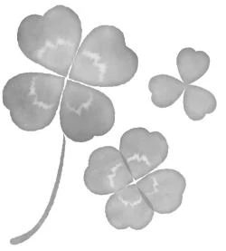 Иллюстрация к книге — Цветы, которые мы увидели сквозь слёзы [book-illustration-1.webp]