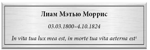 Иллюстрация к книге — Побеждая смерть. Livor Mortis [book-illustration-6.webp]