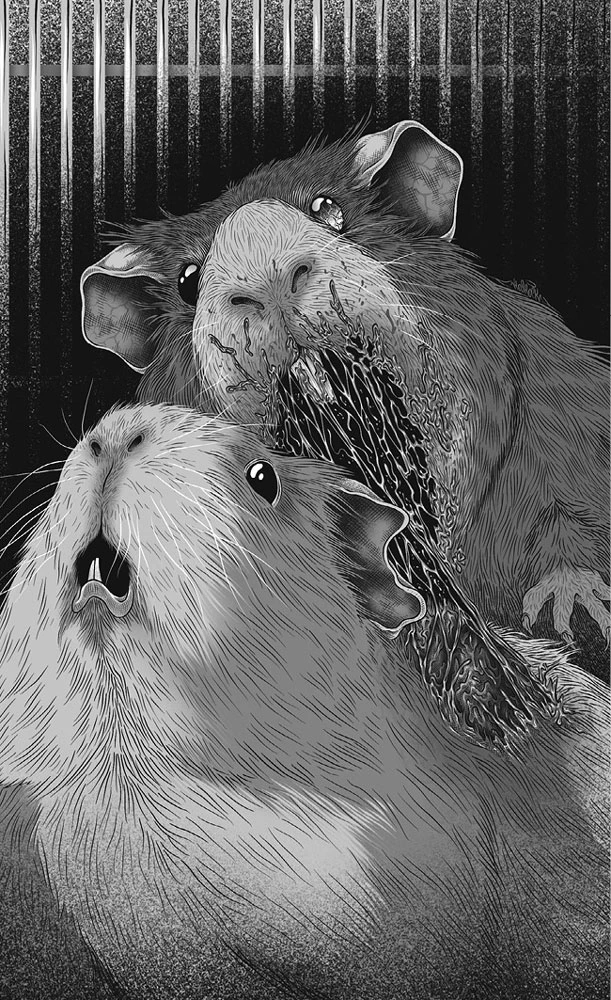 Иллюстрация к книге — Глубина [book-illustration-11.webp]