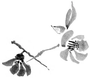 Иллюстрация к книге — Когда отцветает камелия [book-illustration-34.webp]