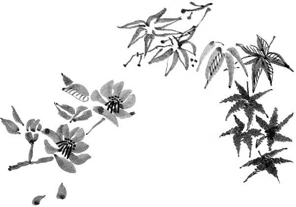 Иллюстрация к книге — Когда отцветает камелия [book-illustration-35.webp]