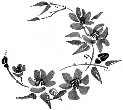 Иллюстрация к книге — Когда отцветает камелия [book-illustration-39.webp]