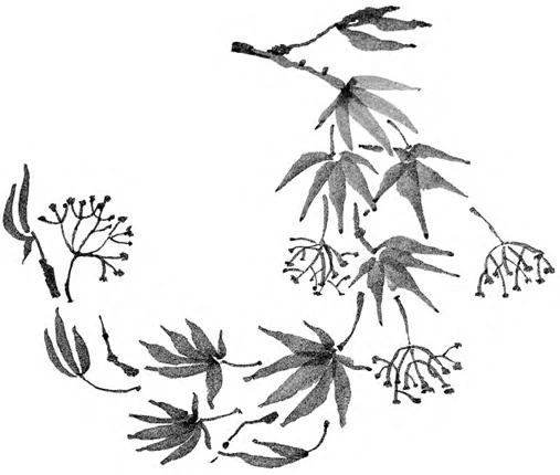 Иллюстрация к книге — Когда отцветает камелия [book-illustration-43.webp]