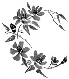 Иллюстрация к книге — Когда отцветает камелия [book-illustration-49.webp]