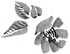 Иллюстрация к книге — Когда отцветает камелия [book-illustration-50.webp]