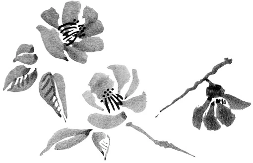 Иллюстрация к книге — Когда отцветает камелия [book-illustration-51.webp]