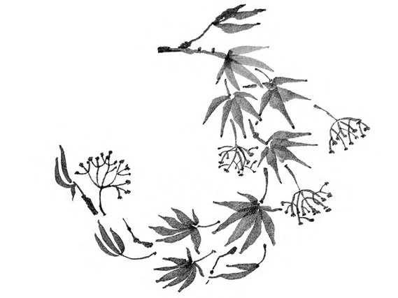 Иллюстрация к книге — Когда отцветает камелия [book-illustration-9.webp]