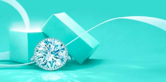 Иллюстрация к книге — Отбор по принуждению, или Одинокий дракон (не) желает знакомиться [book-illustration-18.webp]