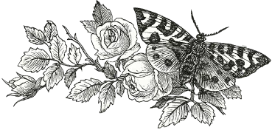 Иллюстрация к книге — Ева из преисподней [book-illustration-1.webp]