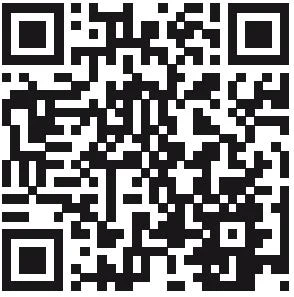 Иллюстрация к книге — Пионерская клятва на крови [book-illustration-3.webp]