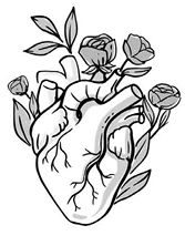 Иллюстрация к книге — Птица, лишенная голоса [book-illustration-15.webp]