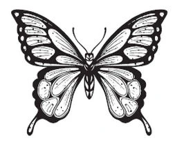 Иллюстрация к книге — Тьма по соседству [book-illustration-27.webp]