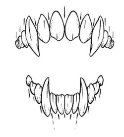 Иллюстрация к книге — Тьма по соседству [book-illustration-30.webp]