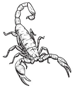 Иллюстрация к книге — Тьма по соседству [book-illustration-38.webp]