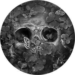 Иллюстрация к книге — Теперь ты моя [book-illustration-1.webp]