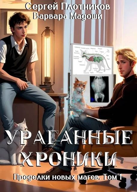 Книга Ураганные хроники