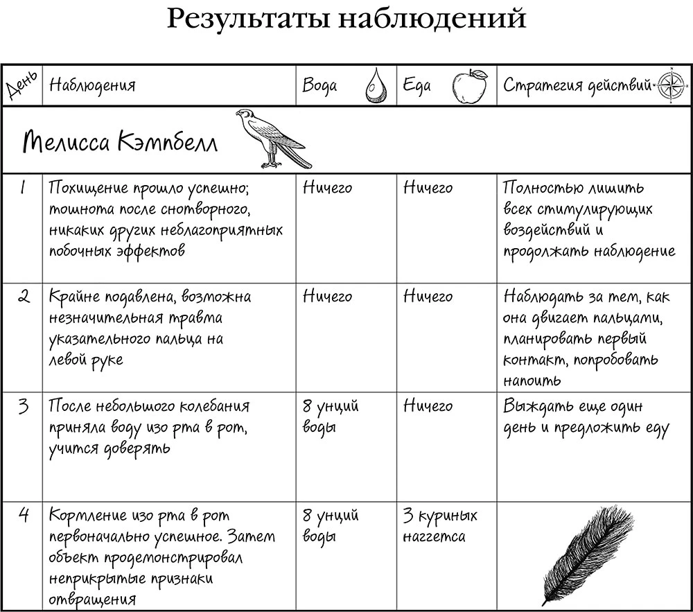Иллюстрация к книге — Повелитель птиц [book-illustration-5.webp]