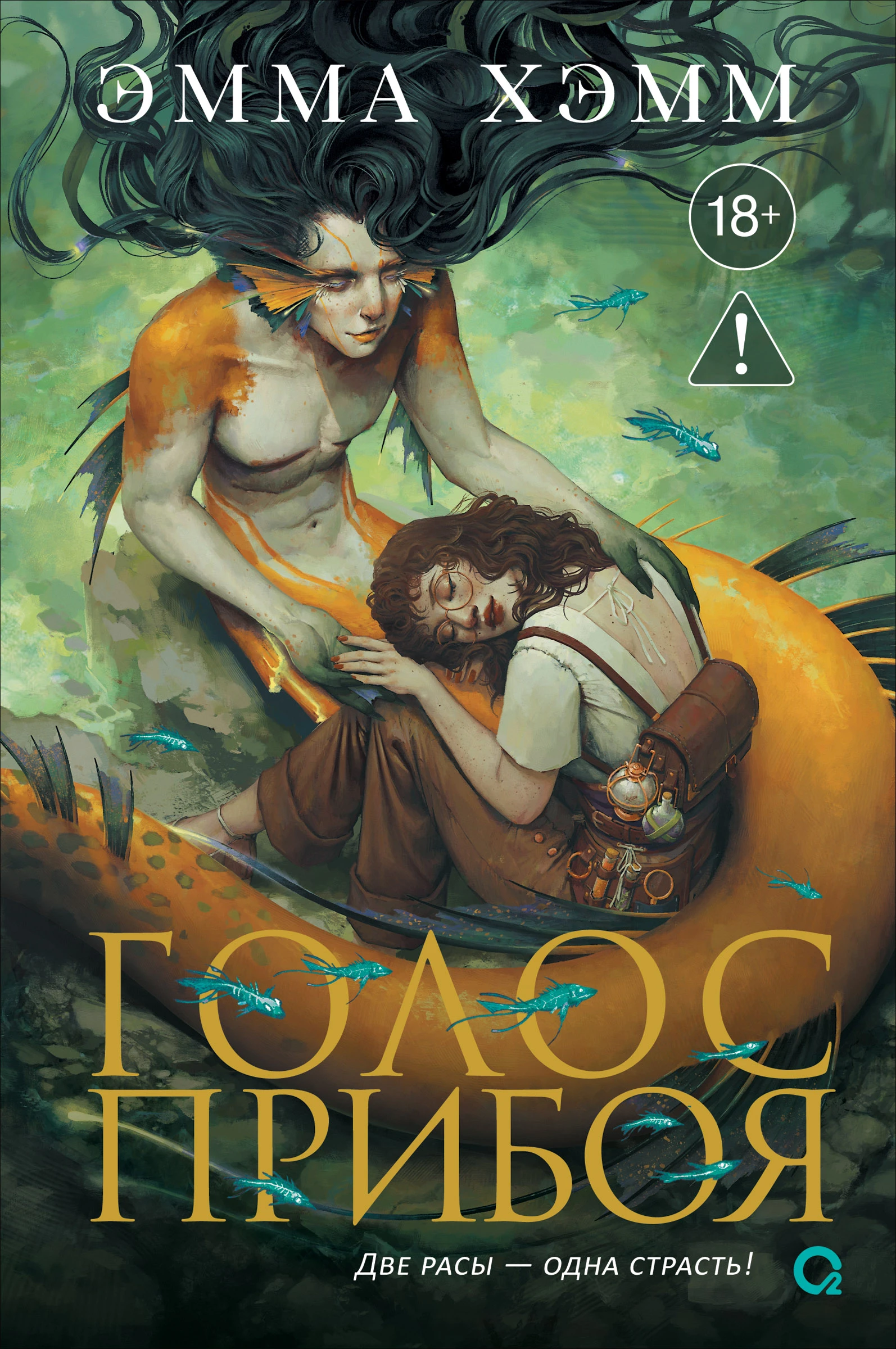 Книга Голос прибоя