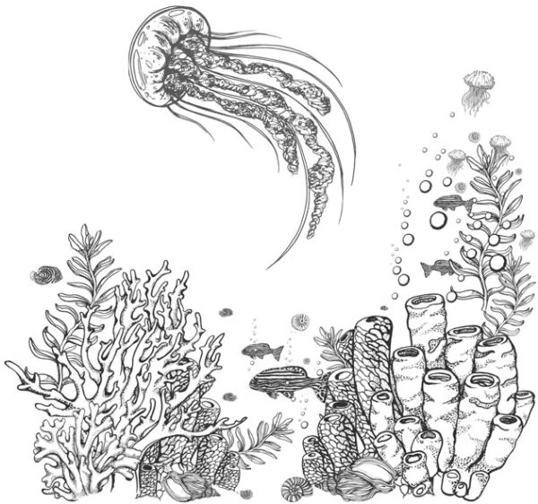 Иллюстрация к книге — Голос прибоя [book-illustration-10.webp]