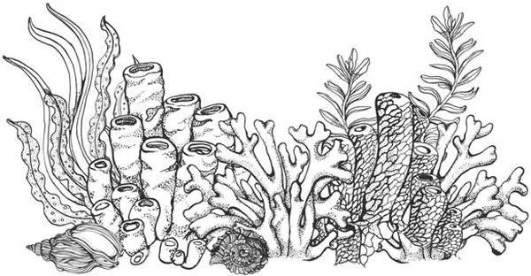 Иллюстрация к книге — Голос прибоя [book-illustration-31.webp]