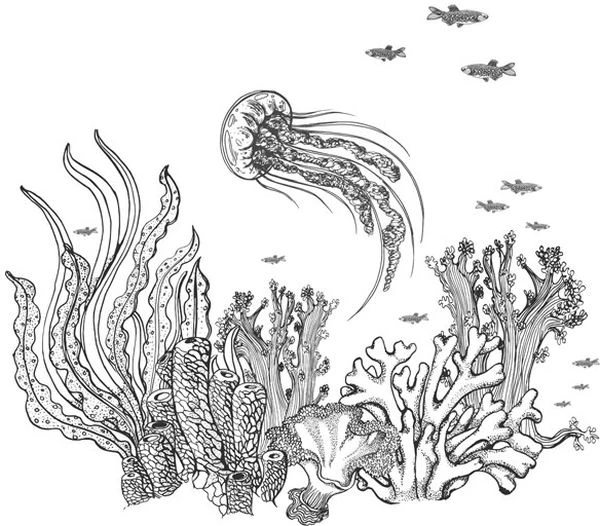 Иллюстрация к книге — Голос прибоя [book-illustration-33.webp]