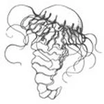 Иллюстрация к книге — Голос прибоя [book-illustration-34.webp]