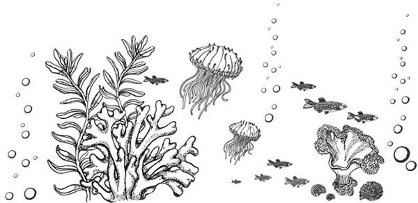 Иллюстрация к книге — Голос прибоя [book-illustration-4.webp]