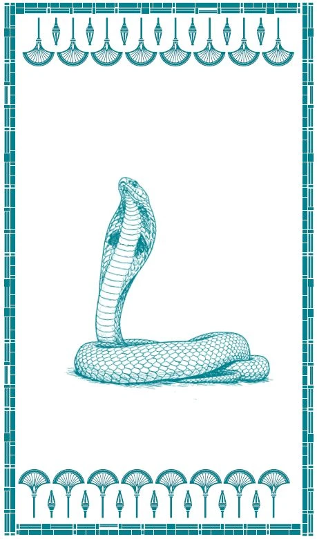 Иллюстрация к книге — Защитница Солнечного Трона [book-illustration-11.webp]