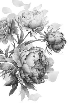 Иллюстрация к книге — Прекрасные дьяволы [book-illustration-4.webp]