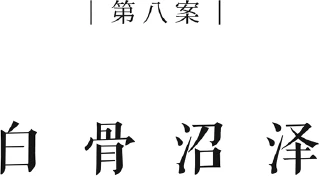 Иллюстрация к книге — Немая улика [book-illustration-9.webp]