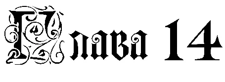 Иллюстрация к книге — Заставь меня согрешить [book-illustration-9.webp]