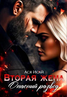 Книга Вторая жена. Опасный развод